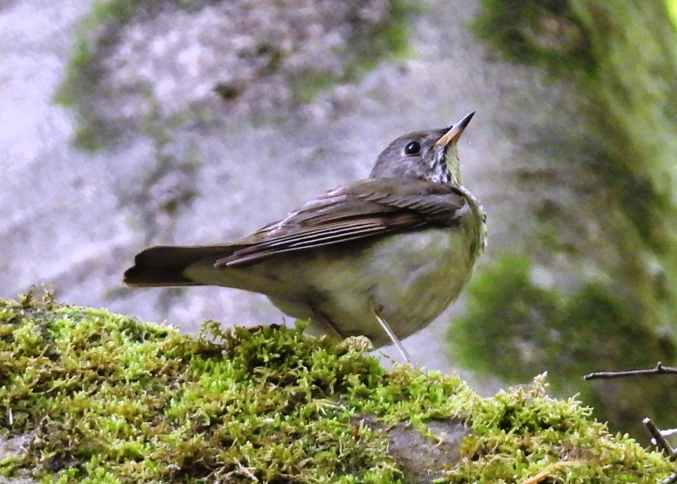 dscn3035.jpg
