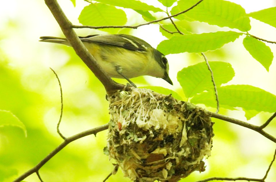 dscn3237.jpg