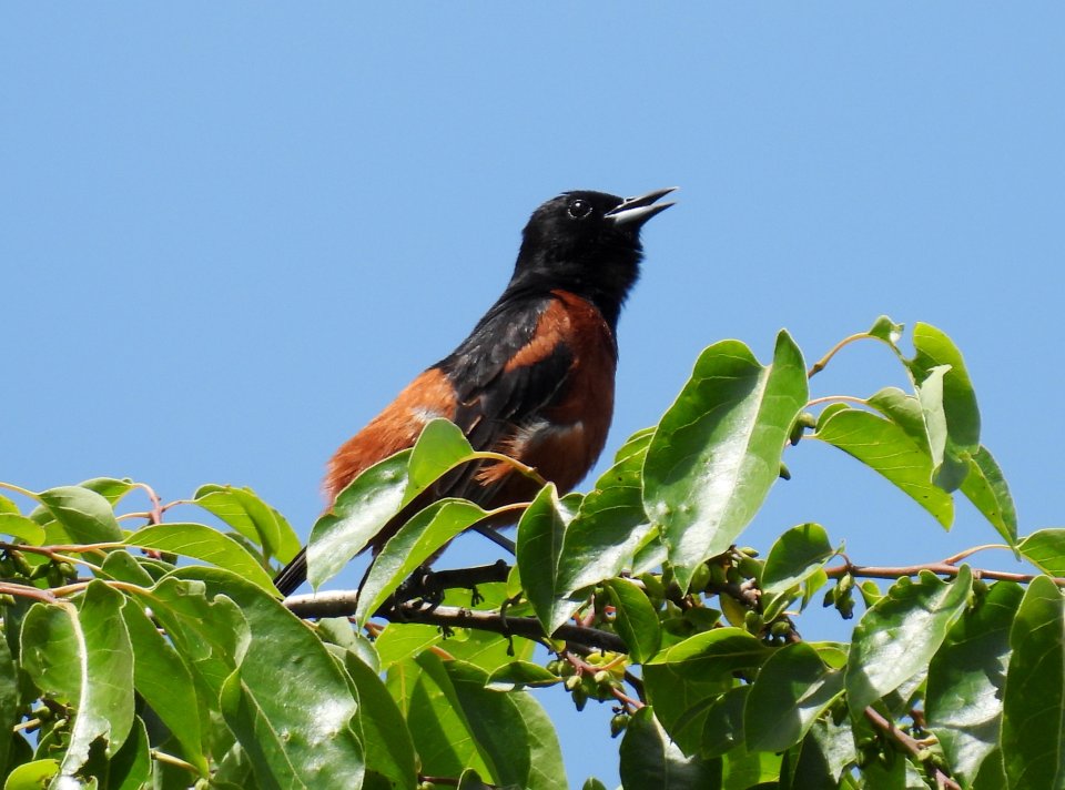 dscn3440.jpg