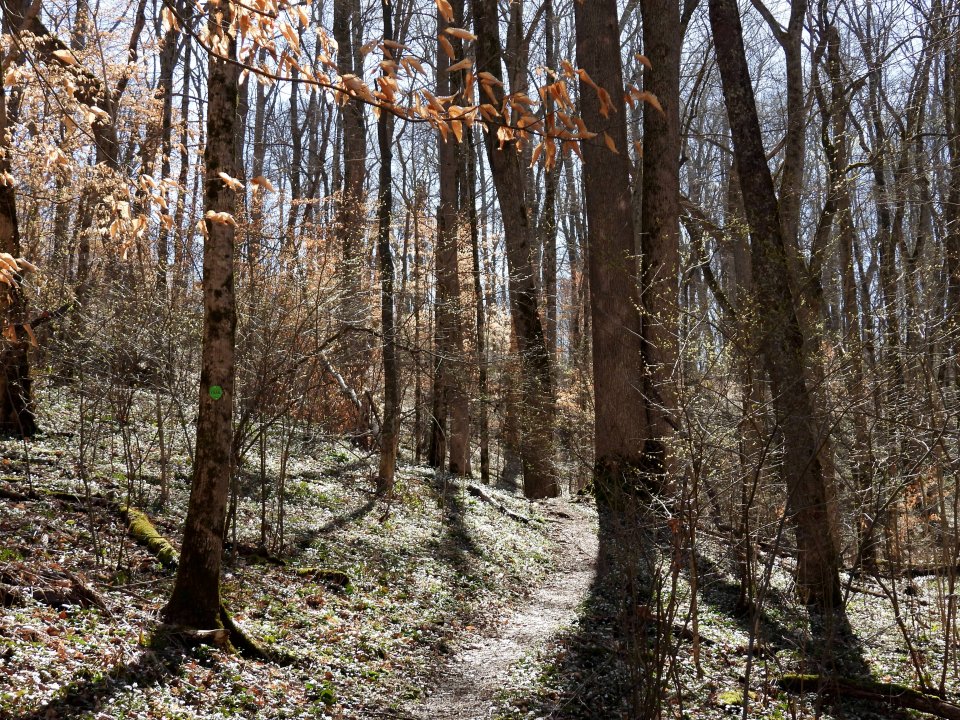 dscn1630.jpg