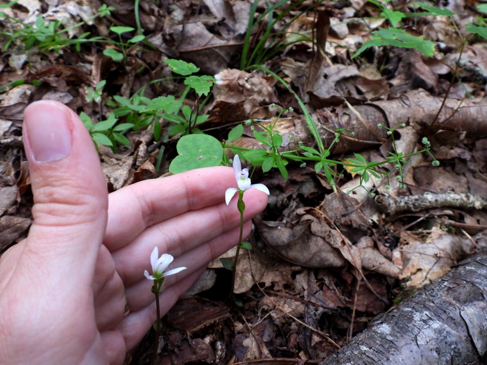 dscn5770.jpg