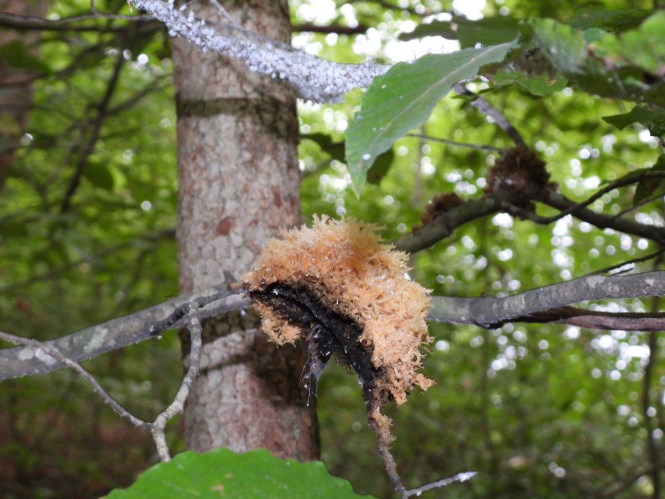 dscn7391.jpg