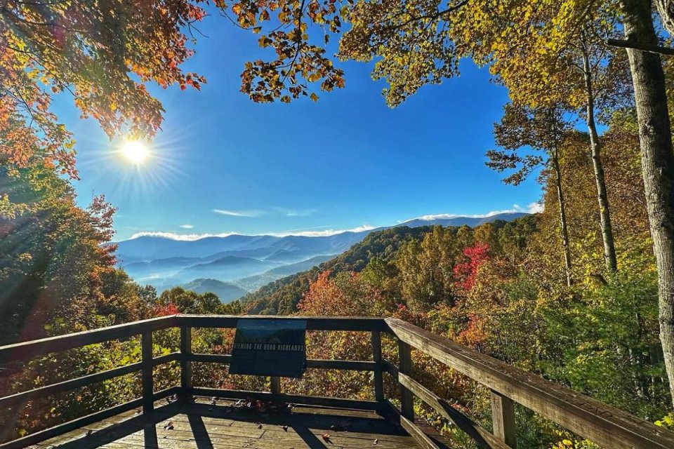 fall_-_roan_mountain.jpg