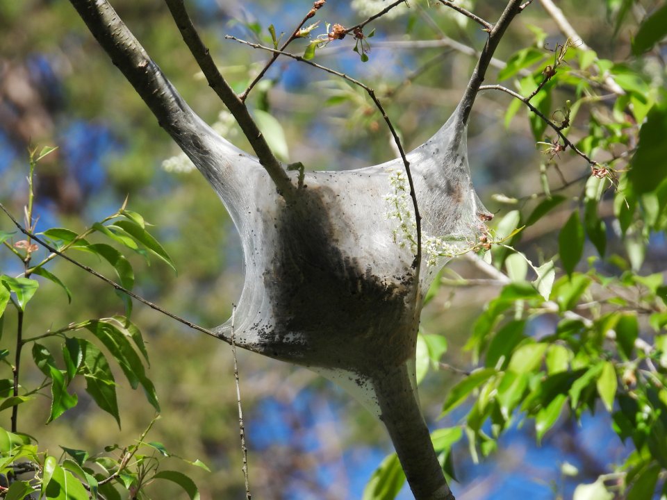 dscn2386.jpg