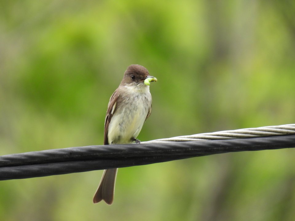 dscn3345.jpg