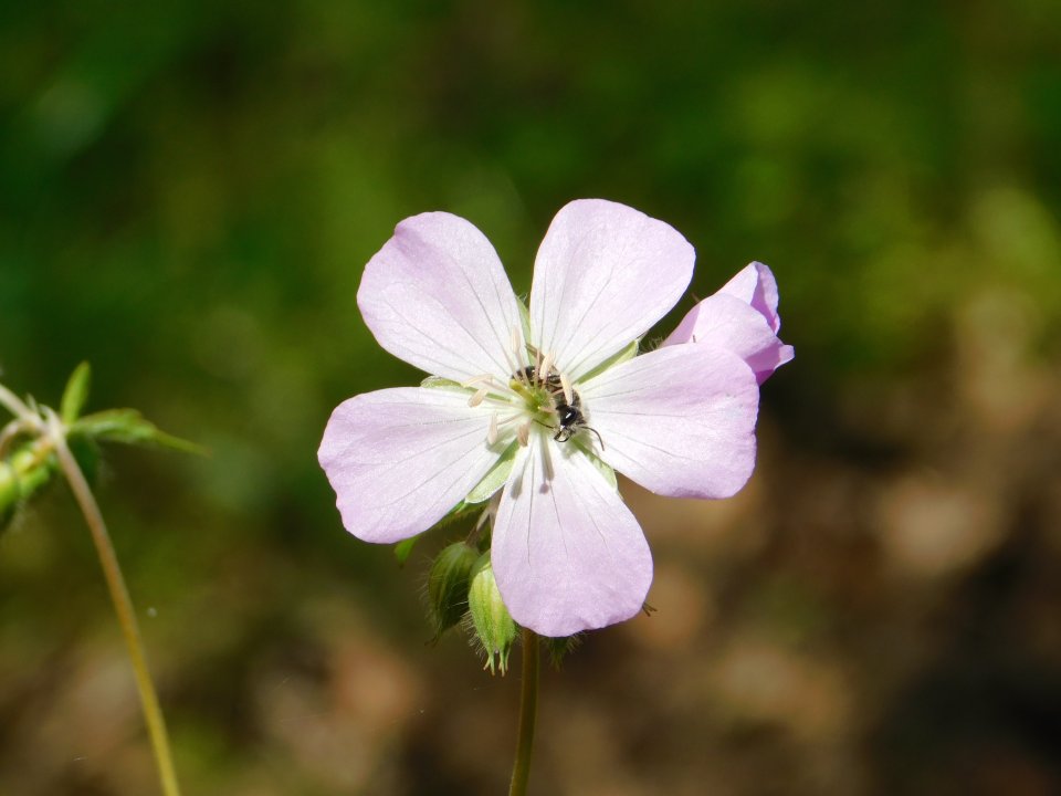 dscn3920.jpg