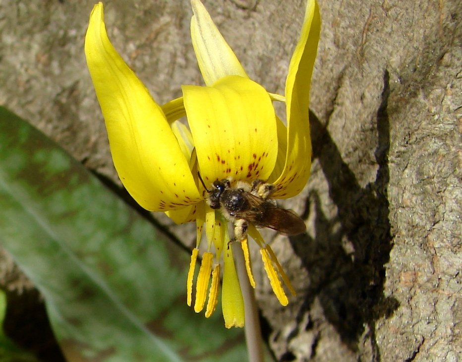lotsa_pictures_10529cropped-2.jpg