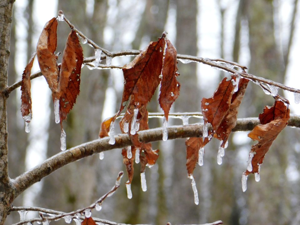 dscn1192.jpg
