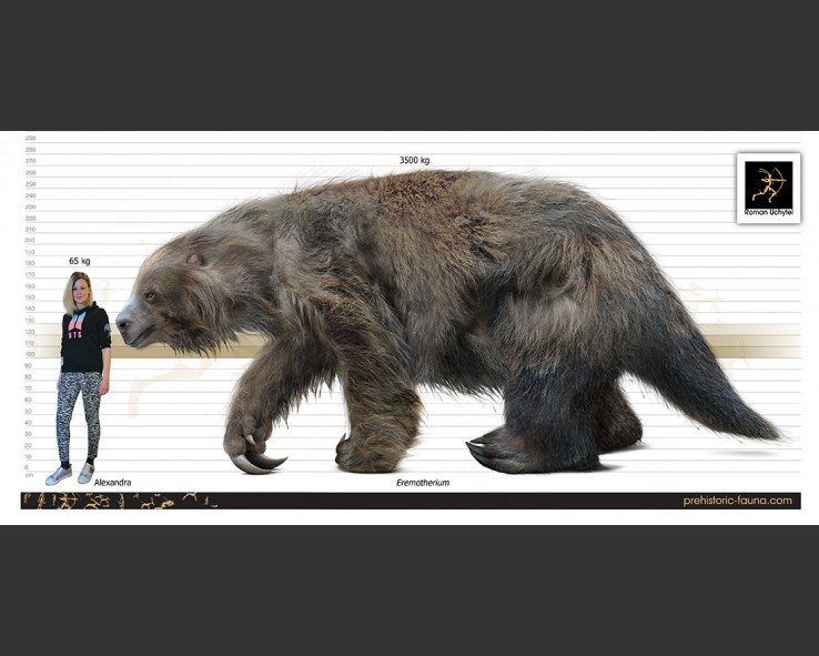 eremotherium-rusconi-size-738x591.jpg