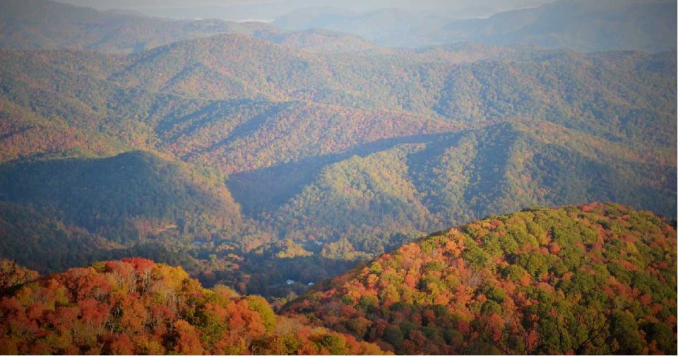 roan_mountain_state_park_fall_colors.jpg