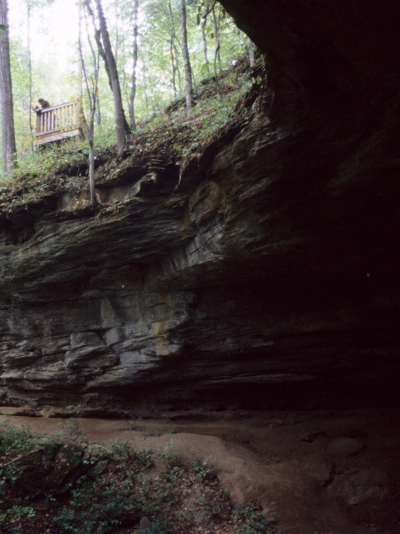 Rocky cliff with a wooden lookout surrounded by tall, green trees.