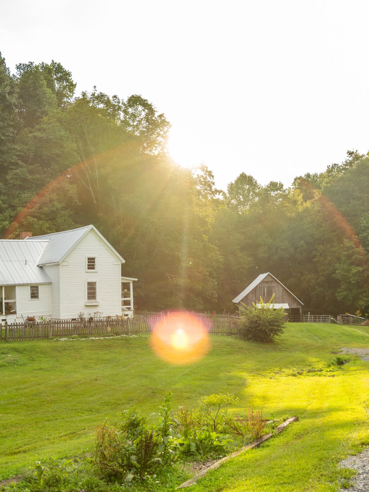 Sunny rural scene with a white house, gravel path, and lush greenery.