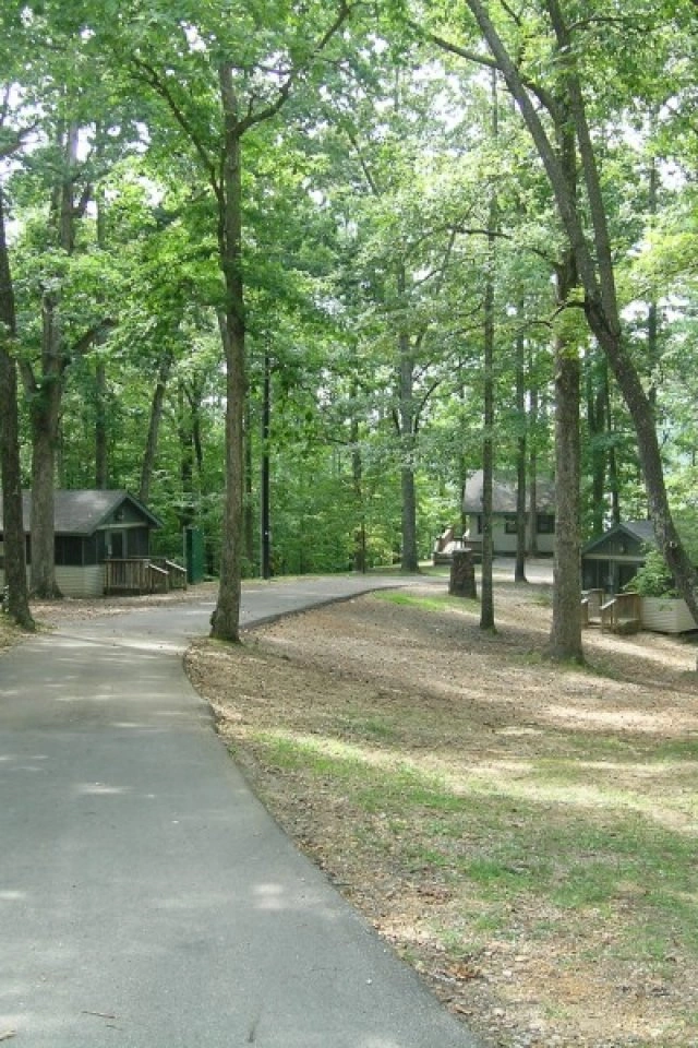 Pathway through wooded area with cabins on either side, sunny day.