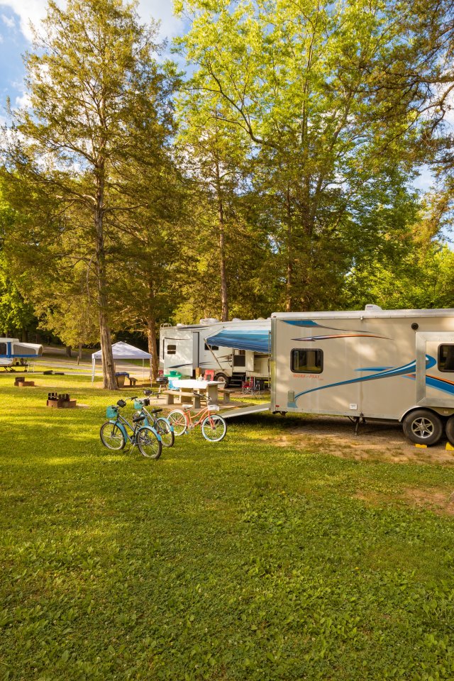 Camping scene with RVs and bicycles on a sunlit grassy field surrounded by tall trees. Campers relax under awnings, creating a peaceful outdoor atmosphere.