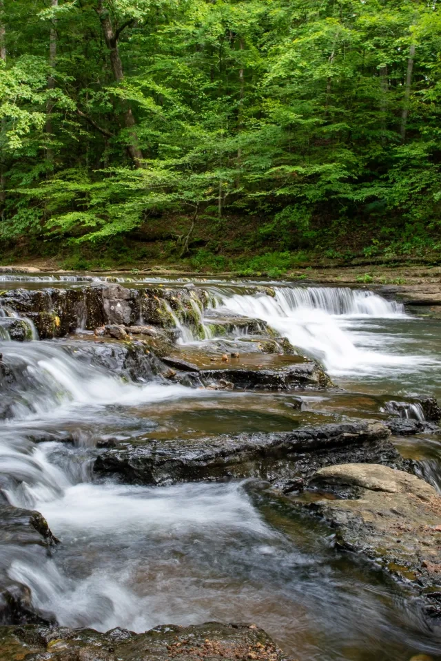 Cascading waterfall over layered rocks in a lush green forest.