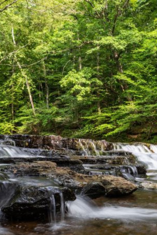 waterfall at david crockett tn state park