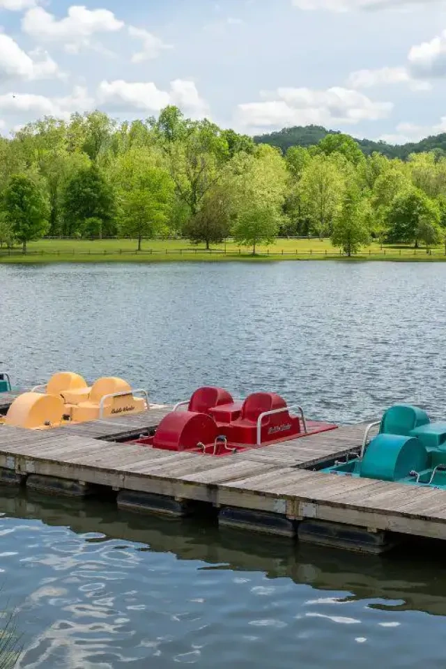 Colorful pedal boats docked by a calm lake with a green forest backdrop.