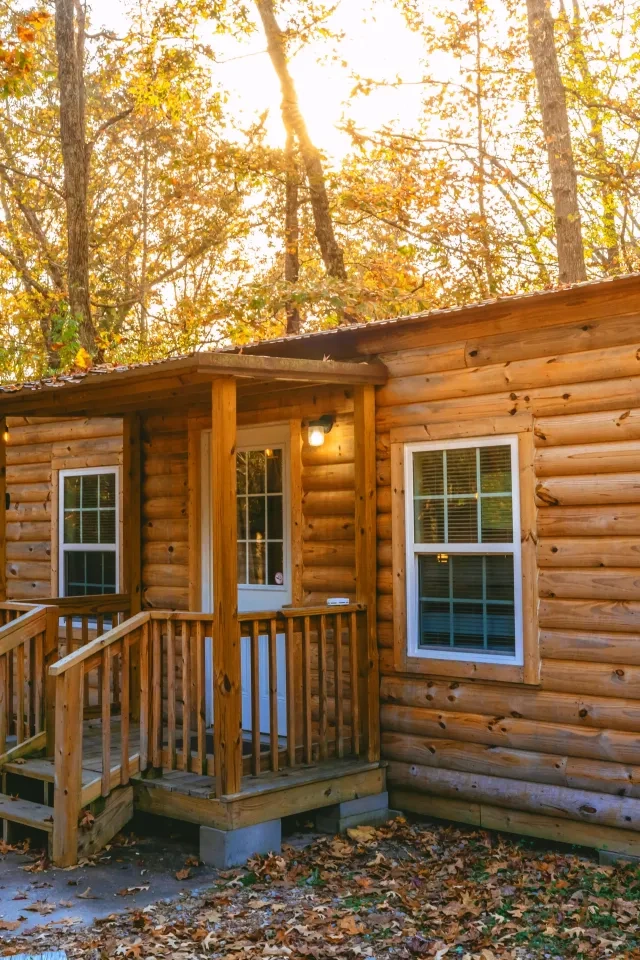 Rustic log cabin nestled in autumn woods, soft sunlight filtering through trees.