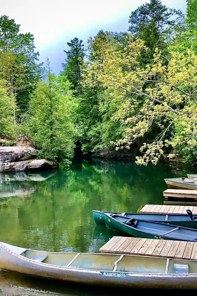 Canoes docked on a serene lake surrounded by lush green forest.