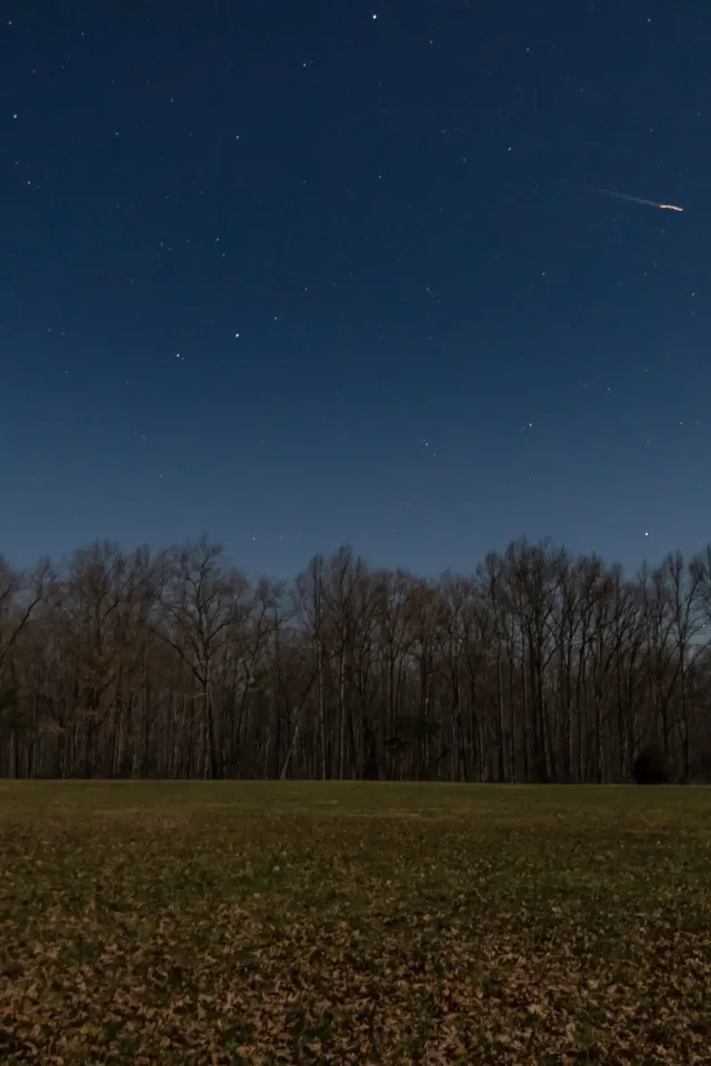 Night sky with stars over treeline and open field.