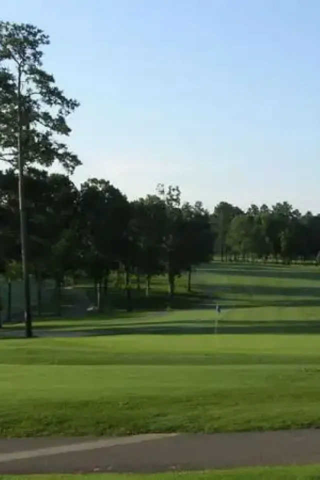 Green golf course with trees lining the fairway under a clear blue sky.