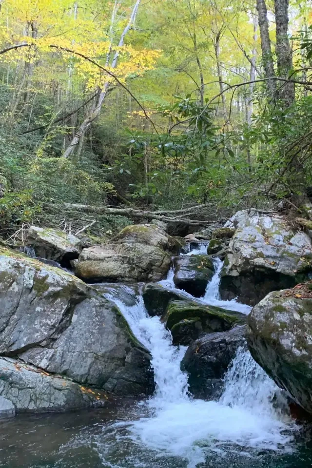 Waterfall running between mossy rocks, surrounded by trees with yellow leaves.