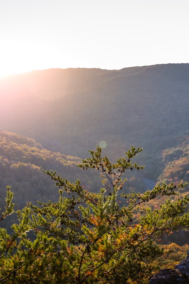 Women standing on rock that's over a valley looking at the sunset