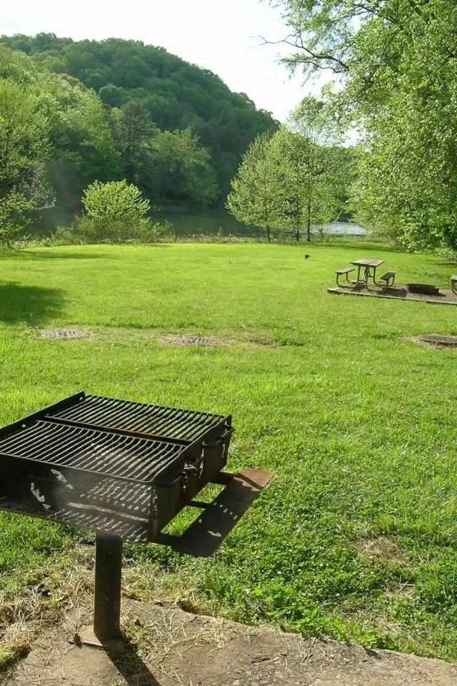 Grassy park with a grill, trees, and distant lake.