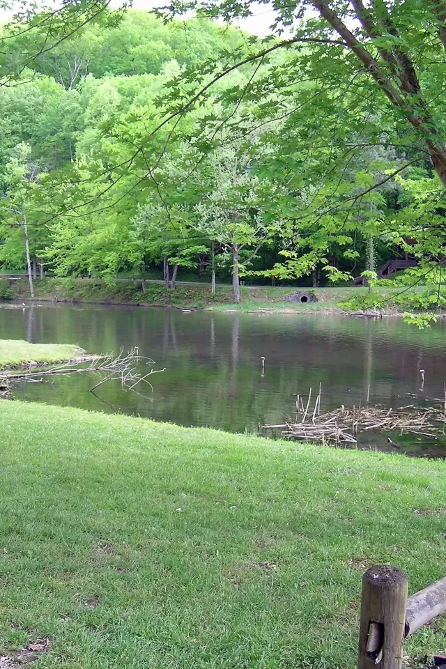 Lush green park with a pond and a wooden fence in the foreground.