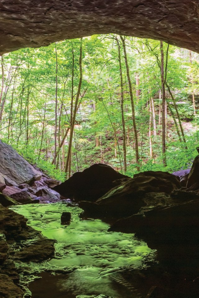 View from inside a rocky cave, looking out to a lush forest. Sunlight filters through the trees, reflecting on a small, serene stream.
