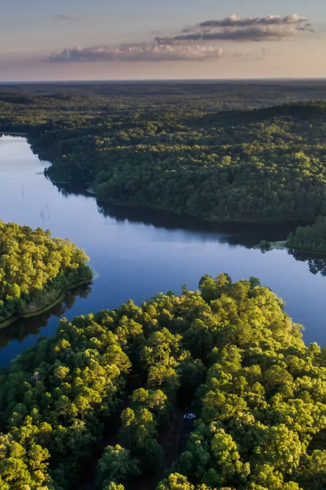 Aerial view of forested landscape with a calm river winding through.