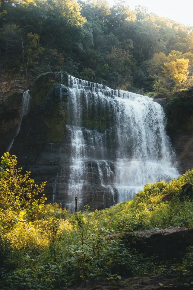 Waterfall surrounded by lush green foliage under soft sunlight.