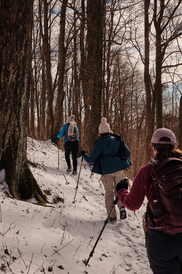 Three people hike through a snow-covered forest, wearing winter gear and backpacks. Bare trees and a cloudy sky create a serene, chilly atmosphere.