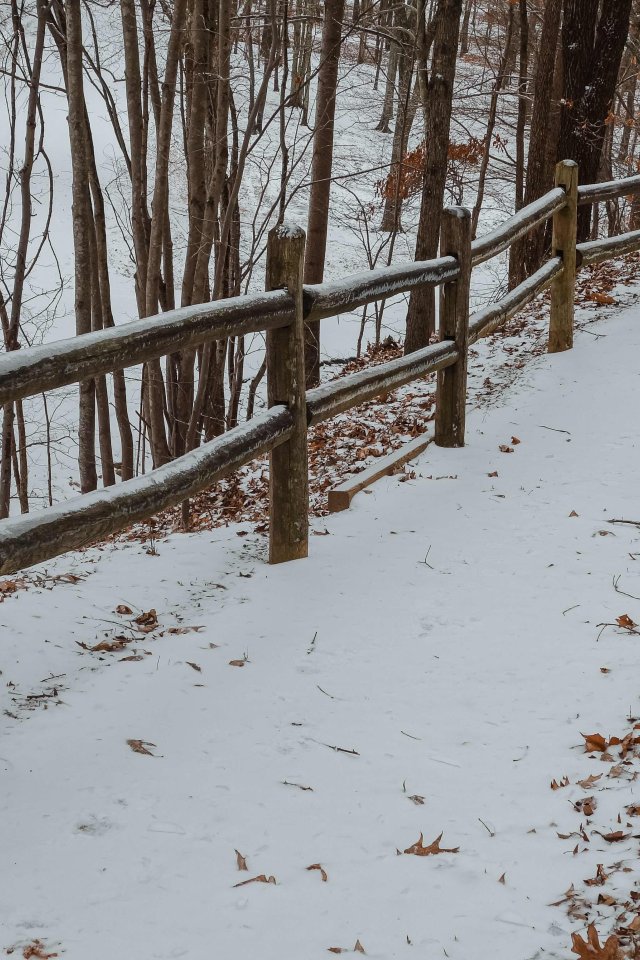 A snow-covered path winds through a forest, flanked by a rustic wooden fence. Bare trees and scattered brown leaves create a serene, wintry atmosphere.
