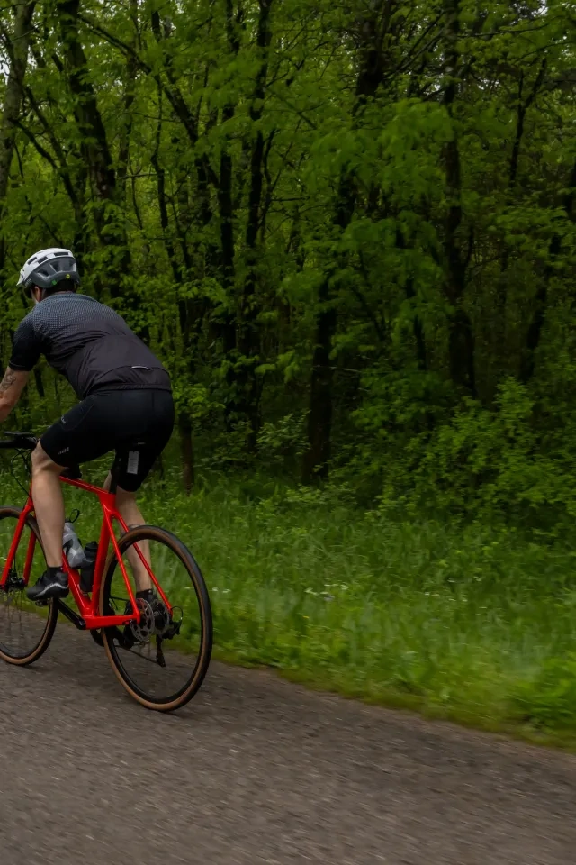 Cyclist on a red bike rides along a forested road.