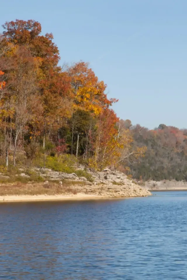 Trees with autumn leaves beside a calm lake under a clear sky.