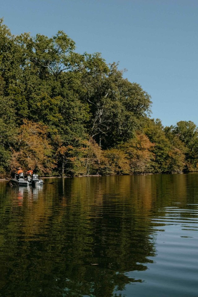 A small boat floats on a calm lake, surrounded by lush green and slightly autumnal trees under a clear blue sky, conveying tranquility and nature.