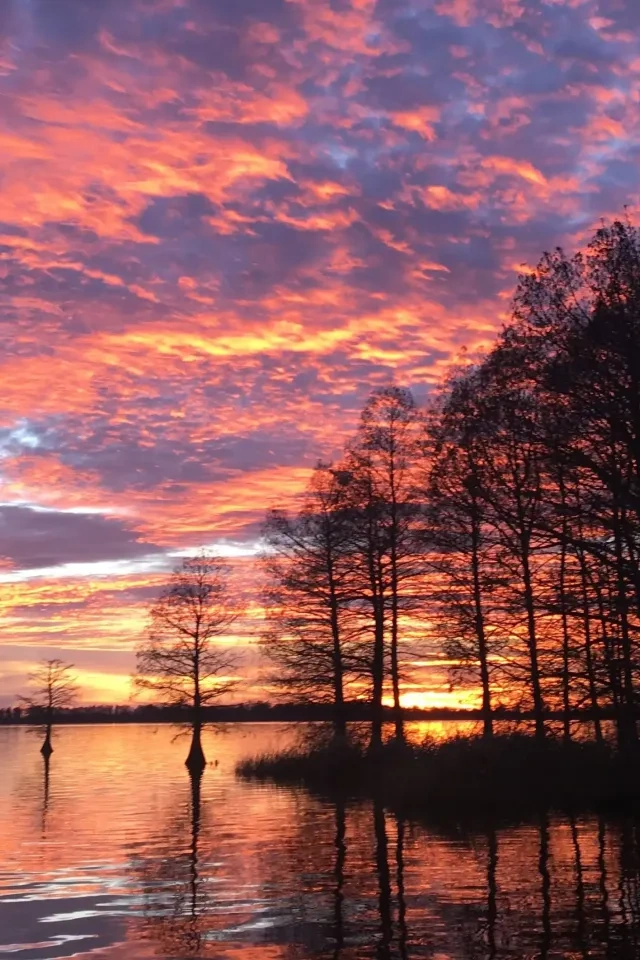 Sunset with vibrant pink and orange clouds over a lake and silhouetted trees.