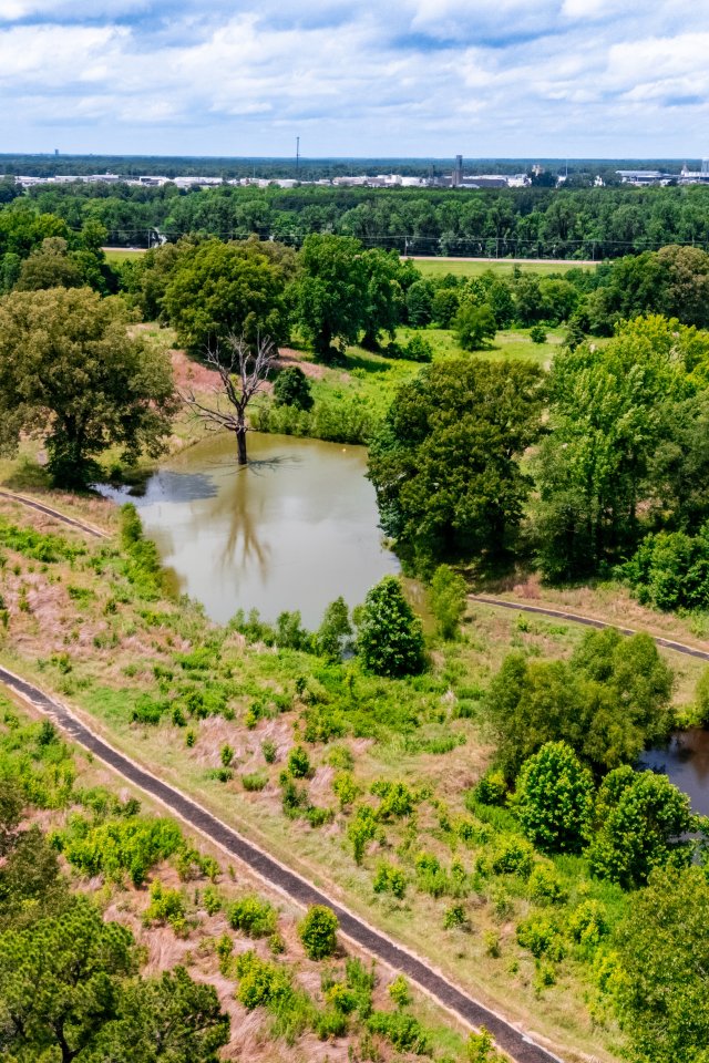Aerial view of a lush park landscape with winding paths, two small ponds, and dense greenery. The scene is calm and expansive under a partly cloudy sky.