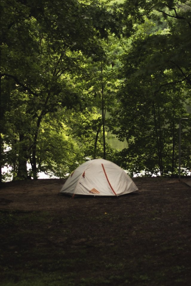 A lone tent is pitched in a dense, green forest clearing, surrounded by tall trees. Nearby is a wooden picnic bench, evoking a peaceful, secluded camping scene.