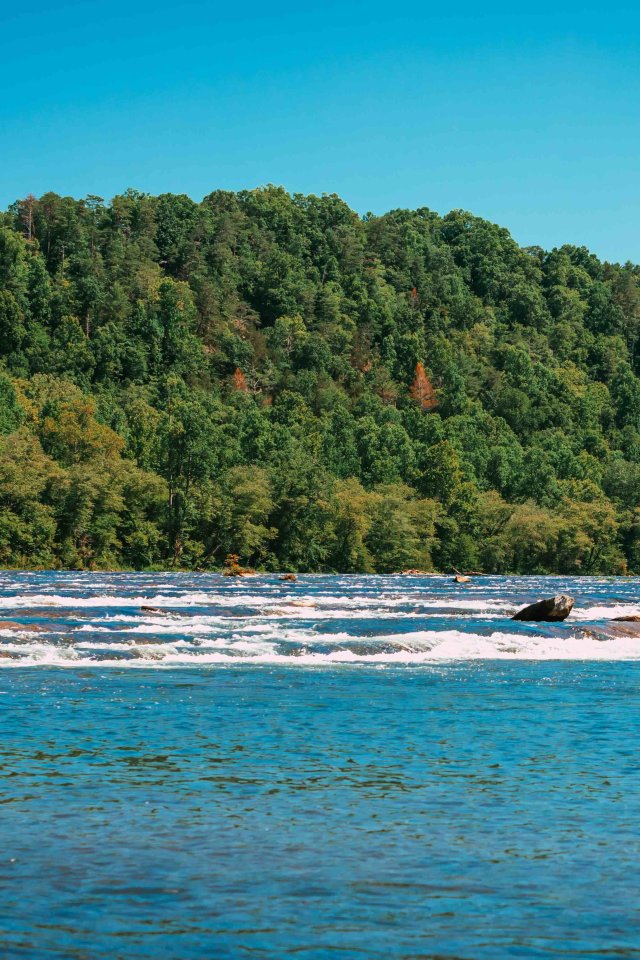 view of river water flowing against some rocks in the water and a mountain full of trees in the background