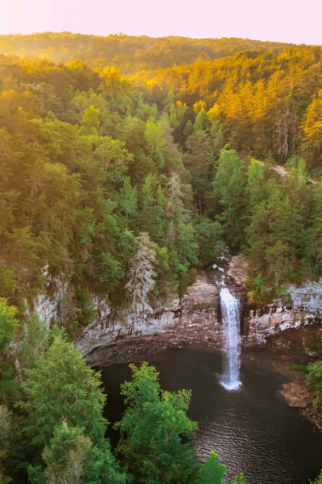Sunrise over a forest with a waterfall flowing into a serene pond.
