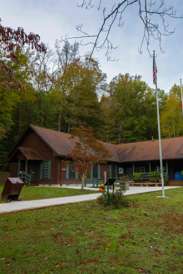 Rustic cabin in a forest setting with flagpole and clear path.