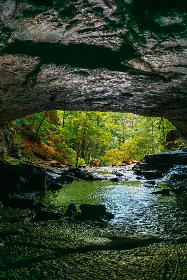 View from inside a dark cave looking out at a lush, green forest and stream.