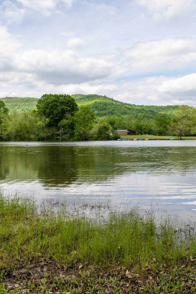 Serene lake scene with lush greenery and cloudy skies.
