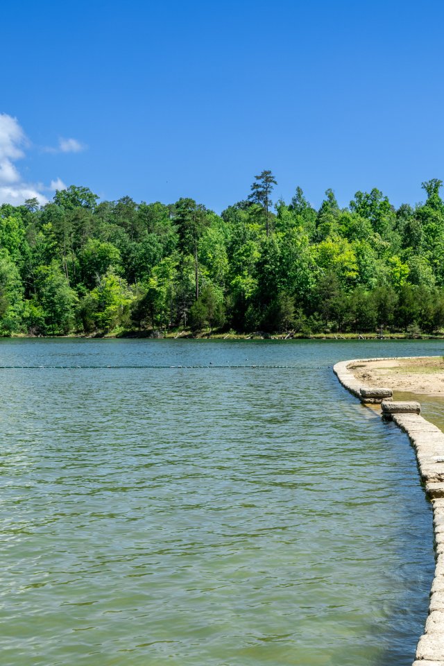 Calm lake with trees, a swimmer, and a stone path under a clear blue sky.