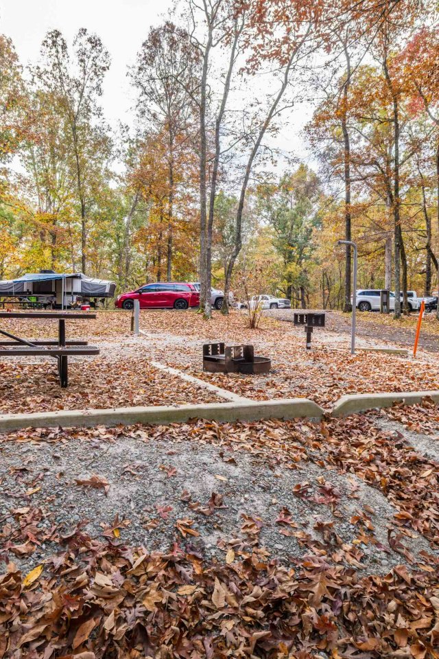 Autumn campground scene with tents, vehicles, and a picnic area surrounded by trees.