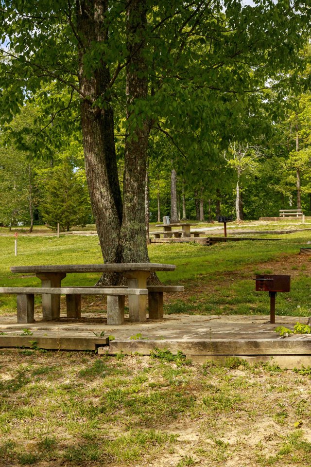 Wooden picnic table and grill in a serene park with lush trees.