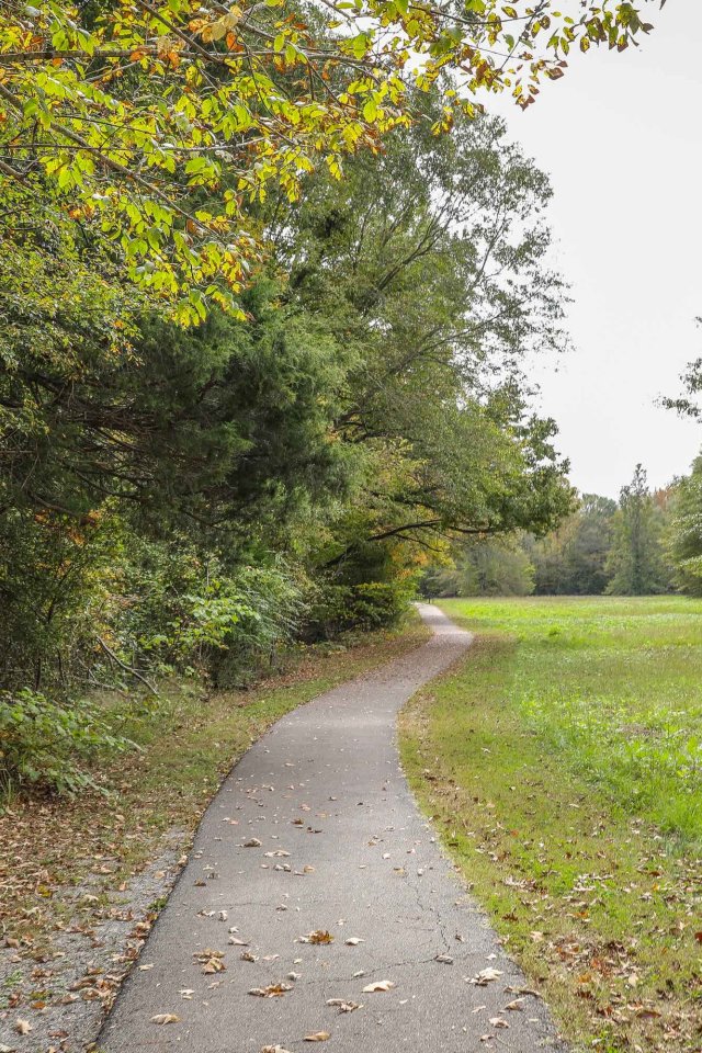 Thin concrete trail next to a tree line and a open field.