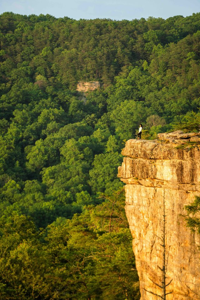Person standing on the edge of a tall cliff overlooking a forest.